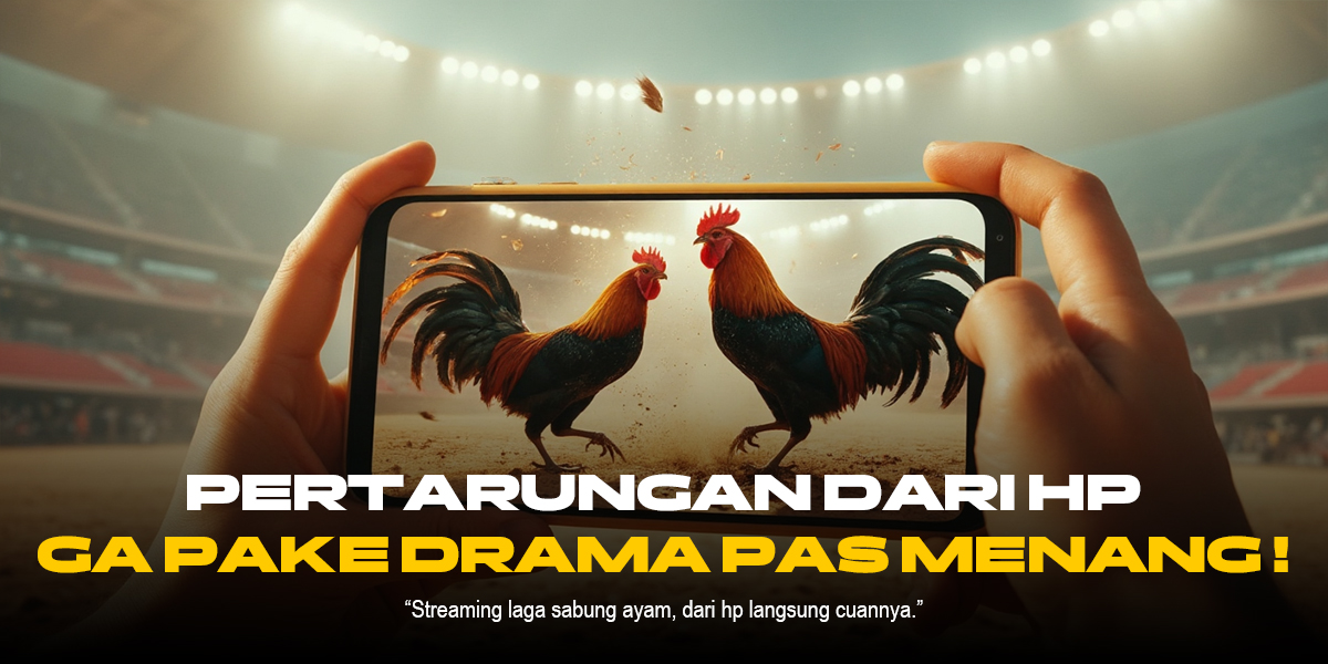Menguak Kecanggihan Sabung Ayam SV388: Jenis Ayam, Odds, dan Strategi Menang