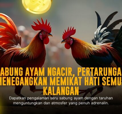 Mengenal Ayam Bangkok: Raja dari Sabung Ayam SV388