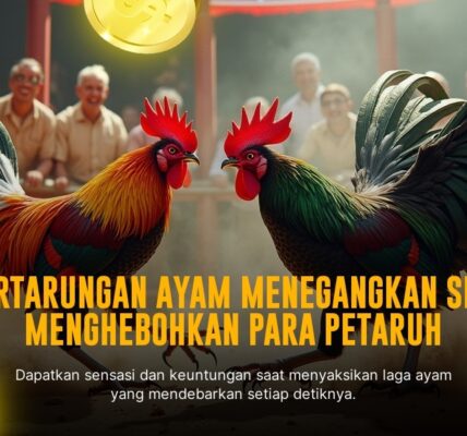 Mengenal Ayam Petarung Asli SV388 dan Odds Taruhan Sabung Ayam