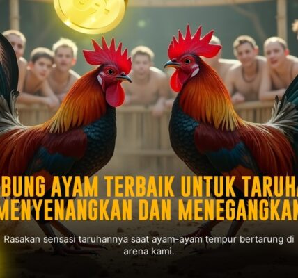 Menguak Rahasia Ayam Bangkok dalam Dunia Sabung Ayam SV388